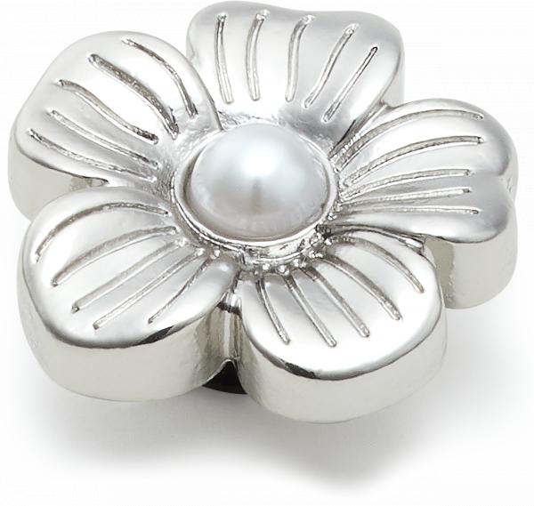 Silver Mnchrm Daisy 2